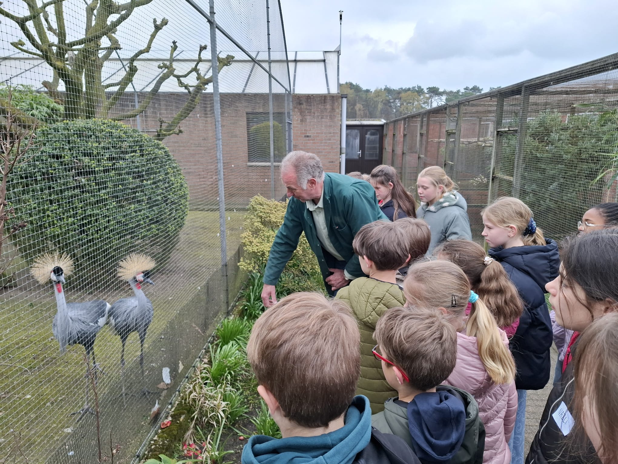 kinderen kijken naar vogels 