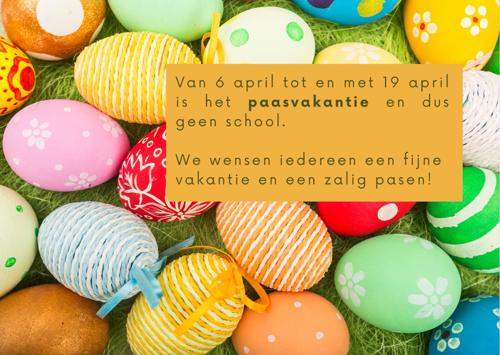 WhatsApp Image 2026 04 03 at 09.48.42