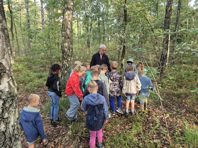 Kinderen zoeken in een bos. 
