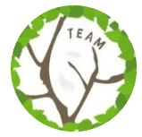 Icoon Team